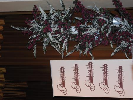 Letni nastop učencev Glasbene šole Slavka Osterca Ljutomer, dislociranega oddelka Razkrižje, 17.5.2016 3